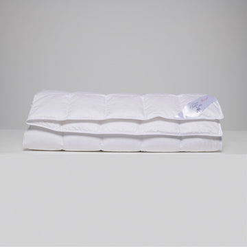 Daune Royal SL